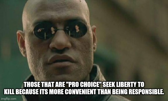 Matrix Morpheus | THOSE THAT ARE "PRO CHOICE" SEEK LIBERTY TO KILL BECAUSE ITS MORE CONVENIENT THAN BEING RESPONSIBLE. | image tagged in memes,matrix morpheus | made w/ Imgflip meme maker