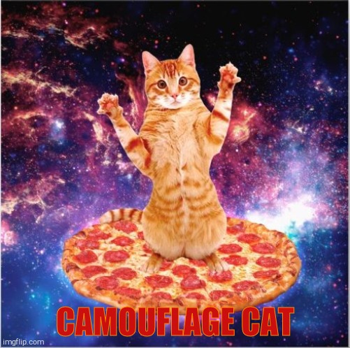 Pizza Cat Space | CAMOUFLAGE CAT | image tagged in pizza cat space | made w/ Imgflip meme maker