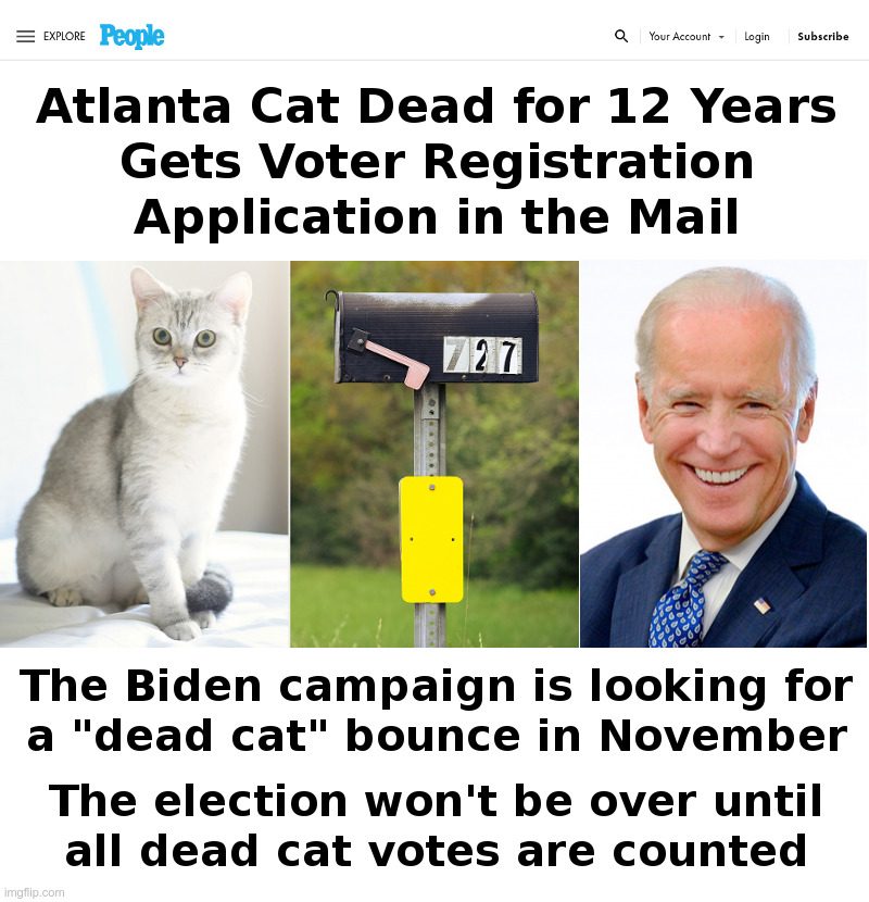 Will Biden Get A "Dead Cat" Bounce ? | image tagged in joe biden,dead,cat,bounce,democrats,dead voters | made w/ Imgflip meme maker
