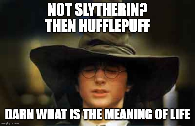 Harry Potter sorting hat | NOT SLYTHERIN?
THEN HUFFLEPUFF; DARN WHAT IS THE MEANING OF LIFE | image tagged in harry potter sorting hat | made w/ Imgflip meme maker