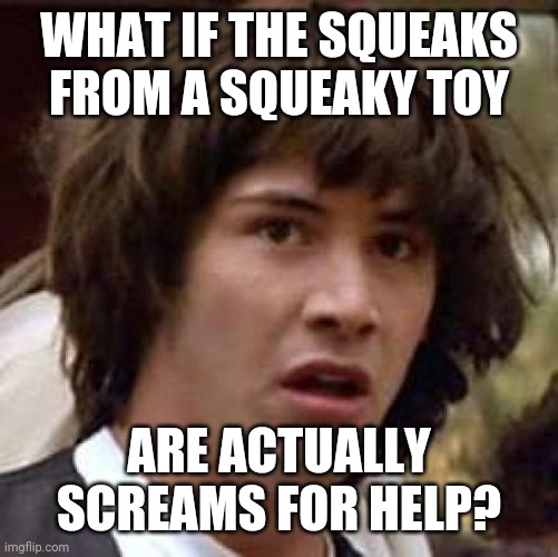 If I Can Freak Out One Stoner With This Meme... | WHAT IF THE SQUEAKS FROM A SQUEAKY TOY; ARE ACTUALLY SCREAMS FOR HELP? | image tagged in conspiracy keanu,they're alive,squeaky toys,freak out stoners | made w/ Imgflip meme maker