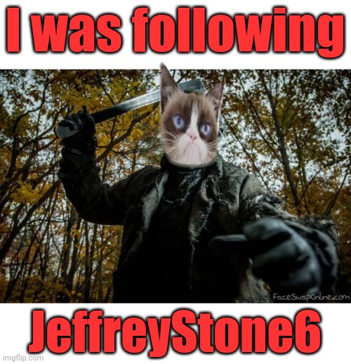 grumpy cat jason | I was following; JeffreyStone6 | image tagged in grumpy cat jason | made w/ Imgflip meme maker