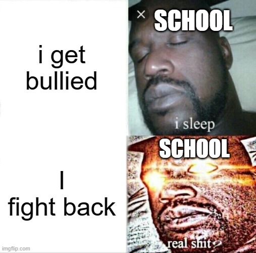 school.... | i get bullied; SCHOOL; SCHOOL; I fight back | image tagged in memes,sleeping shaq | made w/ Imgflip meme maker