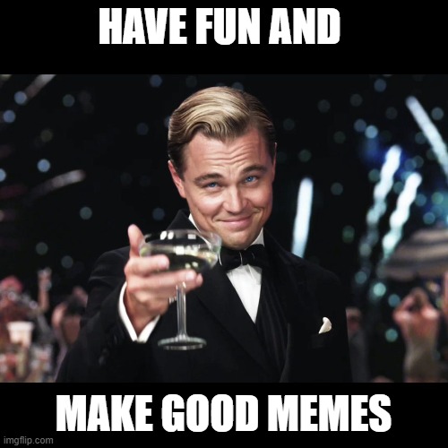 Leonardo DiCaprio Toast | HAVE FUN AND MAKE GOOD MEMES | image tagged in leonardo dicaprio toast | made w/ Imgflip meme maker