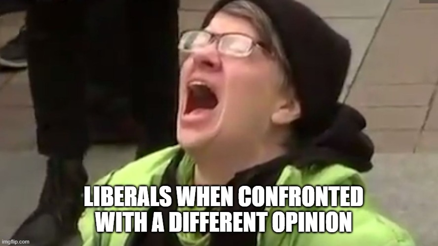 so true |  LIBERALS WHEN CONFRONTED WITH A DIFFERENT OPINION | image tagged in screaming liberal,libtard,opinion | made w/ Imgflip meme maker