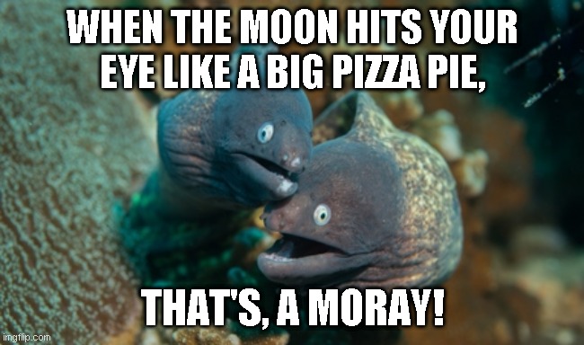 WHEN THE MOON HITS YOUR EYE LIKE A BIG PIZZA PIE, THAT'S, A MORAY! | image tagged in funny | made w/ Imgflip meme maker