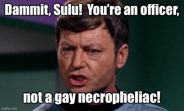 Dammit Jim | Dammit, Sulu!  You’re an officer, not a gay necropheliac! | image tagged in dammit jim | made w/ Imgflip meme maker