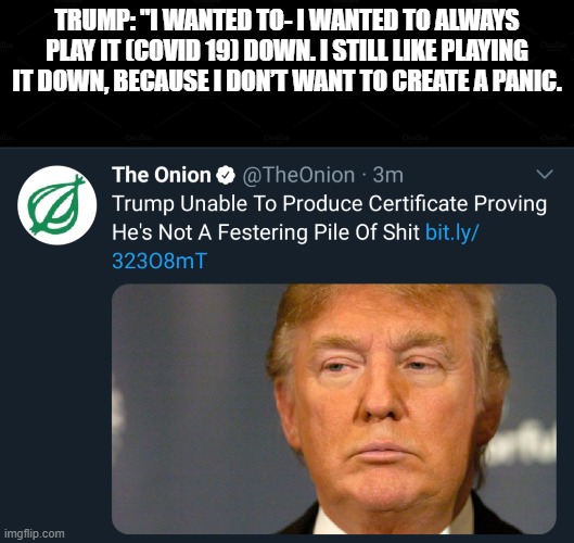 Have to bust out the onion article again. Trump never ceases to surprise me. | TRUMP: "I WANTED TO- I WANTED TO ALWAYS PLAY IT (COVID 19) DOWN. I STILL LIKE PLAYING IT DOWN, BECAUSE I DON’T WANT TO CREATE A PANIC. | image tagged in donald trump,covid 19,downplayed,scandal,the onion | made w/ Imgflip meme maker