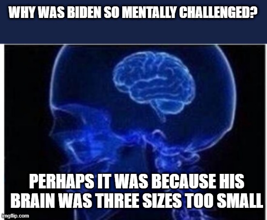 dementia... | WHY WAS BIDEN SO MENTALLY CHALLENGED? PERHAPS IT WAS BECAUSE HIS BRAIN WAS THREE SIZES TOO SMALL | image tagged in expanding brain,joe biden,memes,funny,trump 2020,the grinch | made w/ Imgflip meme maker