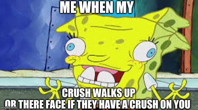 ME WHEN MY; CRUSH WALKS UP
OR THERE FACE IF THEY HAVE A CRUSH ON YOU | made w/ Imgflip meme maker