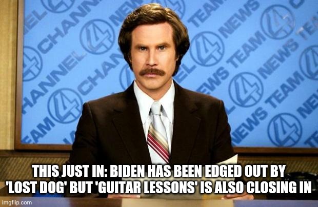 BREAKING NEWS | THIS JUST IN: BIDEN HAS BEEN EDGED OUT BY 'LOST DOG' BUT 'GUITAR LESSONS' IS ALSO CLOSING IN | image tagged in breaking news | made w/ Imgflip meme maker