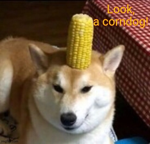 Corndog | Look, a corndog! | image tagged in wholesome,cute,dogs | made w/ Imgflip meme maker