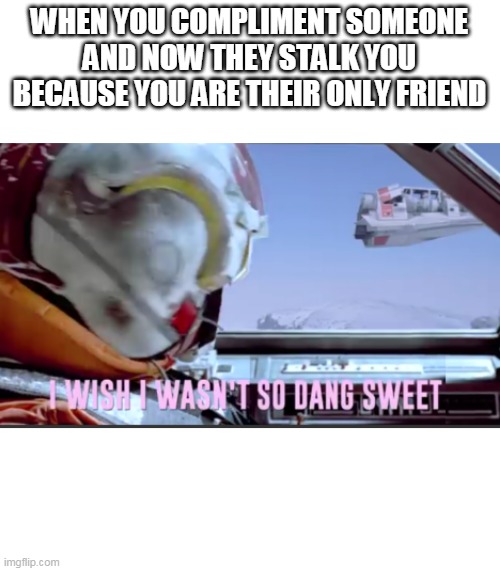I wish I wasn't so dang sweet | WHEN YOU COMPLIMENT SOMEONE AND NOW THEY STALK YOU BECAUSE YOU ARE THEIR ONLY FRIEND | image tagged in i wish i wasn't so dang sweet | made w/ Imgflip meme maker
