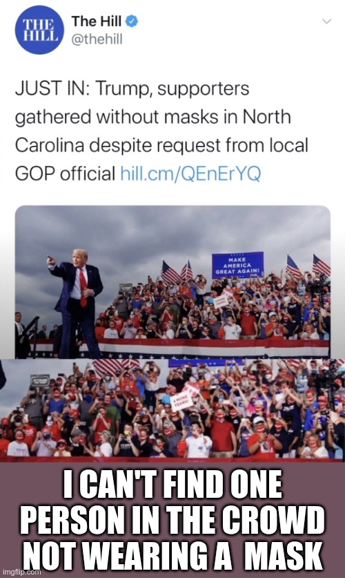 Fakers gotta fake | I CAN'T FIND ONE PERSON IN THE CROWD NOT WEARING A  MASK | image tagged in fake news | made w/ Imgflip meme maker