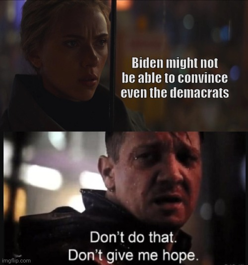 Biden might not convince them | Biden might not be able to convince even the demacrats | image tagged in don't give me hope - black widow and hawkeye,biden,joe biden | made w/ Imgflip meme maker