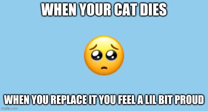 SAD but PROUD | WHEN YOUR CAT DIES; WHEN YOU REPLACE IT YOU FEEL A LIL BIT PROUD | image tagged in sad but proud | made w/ Imgflip meme maker