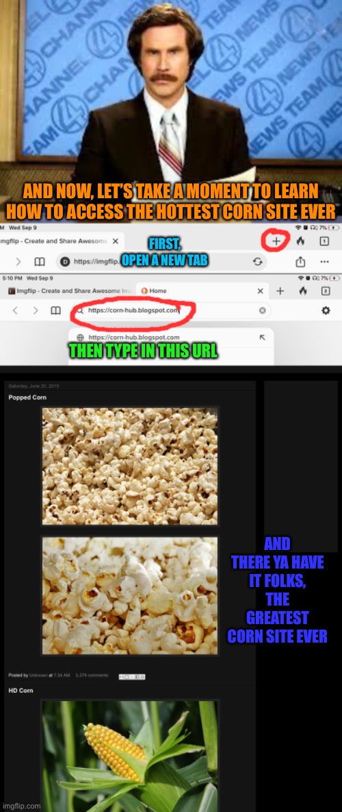 Isn’t this tutorial a-maize-zing?I bet you’re getting really corny right now. | AND NOW, LET’S TAKE A MOMENT TO LEARN HOW TO ACCESS THE HOTTEST CORN SITE EVER; FIRST, OPEN A NEW TAB; THEN TYPE IN THIS URL; AND THERE YA HAVE IT FOLKS, THE GREATEST CORN SITE EVER | image tagged in cornhub,sex jokes,parodies,funny memes,memes,hilarious | made w/ Imgflip meme maker