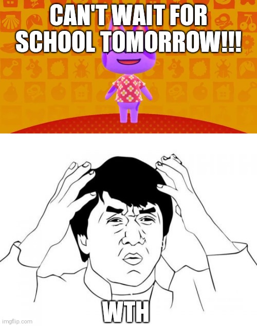 WTH Is School? | CAN'T WAIT FOR SCHOOL TOMORROW!!! WTH | image tagged in memes,jackie chan wtf,bob the cat | made w/ Imgflip meme maker