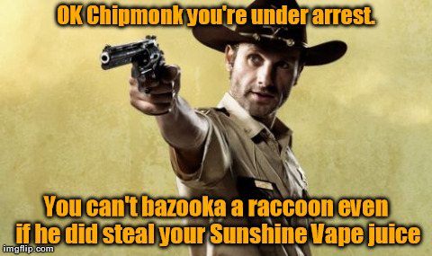 Rick Grimes Meme | OK Chipmonk you're under arrest. You can't bazooka a raccoon even if he did steal your Sunshine Vape juice | image tagged in memes,rick grimes | made w/ Imgflip meme maker