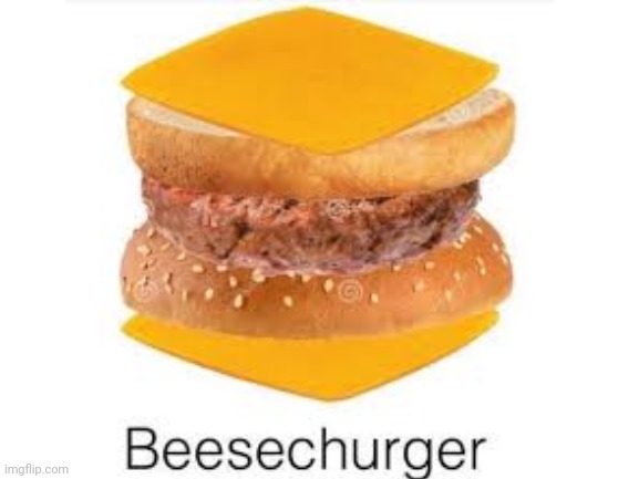 b e e s e c h u r g e r | image tagged in beesechurger,burger,lmao,stop reading the tags | made w/ Imgflip meme maker