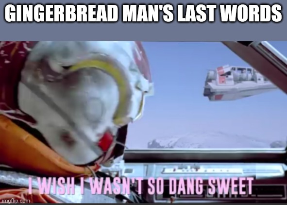 I wish I wasn't so dang sweet | GINGERBREAD MAN'S LAST WORDS | image tagged in i wish i wasn't so dang sweet | made w/ Imgflip meme maker