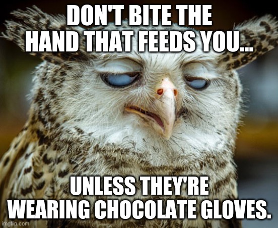 Twisted Proverbs No. 6 |  DON'T BITE THE HAND THAT FEEDS YOU... UNLESS THEY'RE WEARING CHOCOLATE GLOVES. | image tagged in twisted proverbs | made w/ Imgflip meme maker