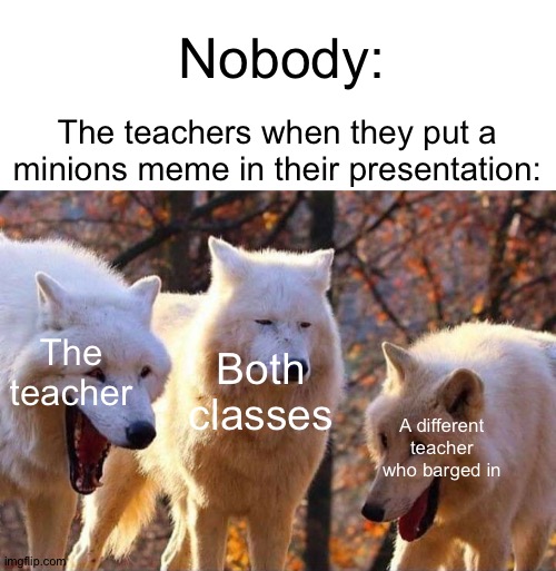 Laughing wolf | Nobody:; The teachers when they put a minions meme in their presentation:; The teacher; Both classes; A different teacher who barged in | image tagged in laughing wolf | made w/ Imgflip meme maker