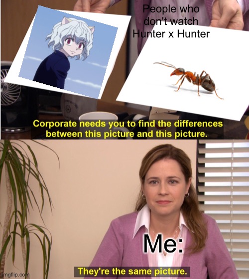 No idea why I made this | People who don't watch Hunter x Hunter; Me: | image tagged in memes,they're the same picture | made w/ Imgflip meme maker
