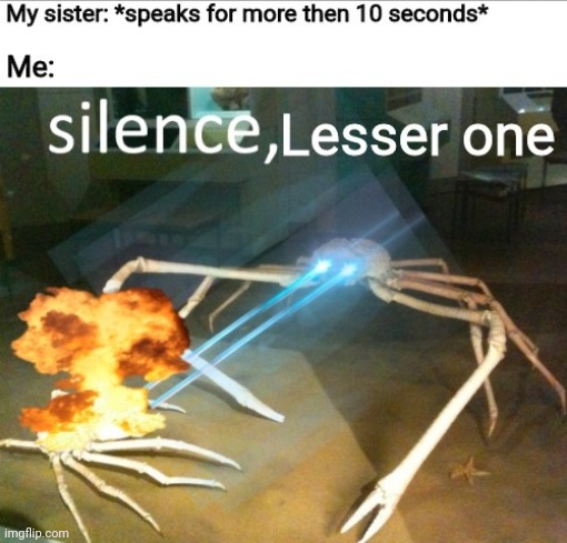 True story | image tagged in oh wow are you actually reading these tags | made w/ Imgflip meme maker