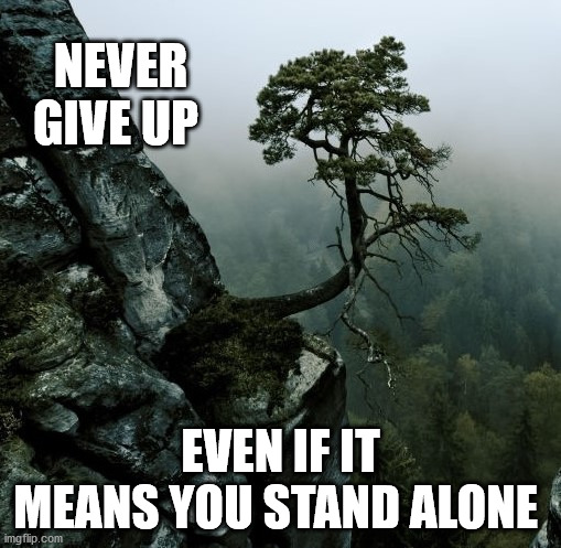 STAND TALL AND PROUD | NEVER GIVE UP; EVEN IF IT MEANS YOU STAND ALONE | image tagged in self esteem | made w/ Imgflip meme maker