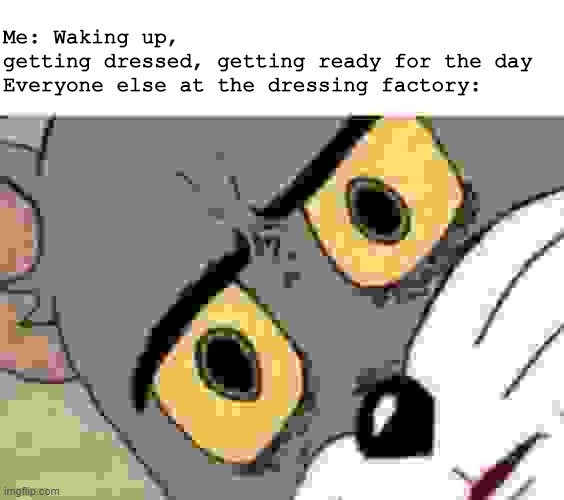 was it something i said | Me: Waking up,  getting dressed, getting ready for the day
Everyone else at the dressing factory: | image tagged in tom cat unsettled close up,salad dressing | made w/ Imgflip meme maker