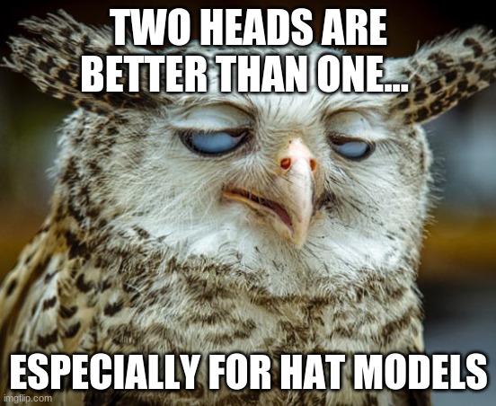 Twisted Proverbs No. 8 |  TWO HEADS ARE BETTER THAN ONE... ESPECIALLY FOR HAT MODELS | image tagged in twisted proverbs | made w/ Imgflip meme maker