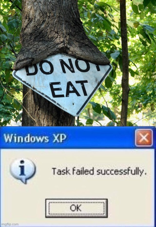 Failure | image tagged in task failed successfully | made w/ Imgflip meme maker
