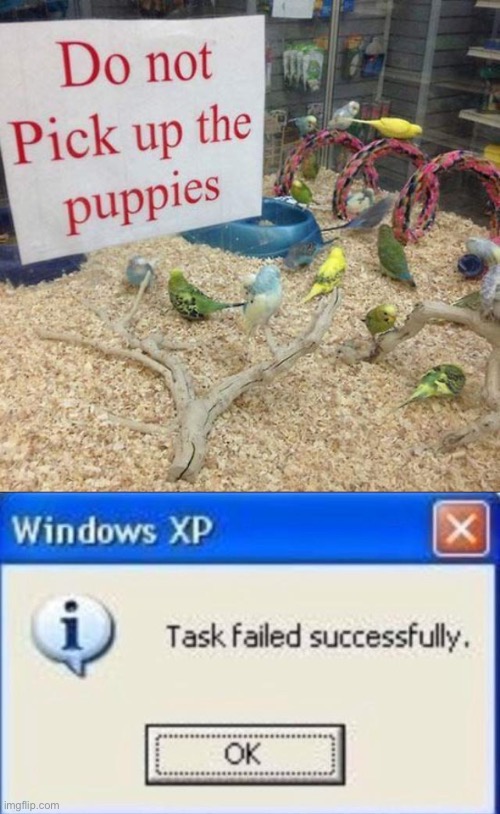 Fail | image tagged in task failed successfully | made w/ Imgflip meme maker