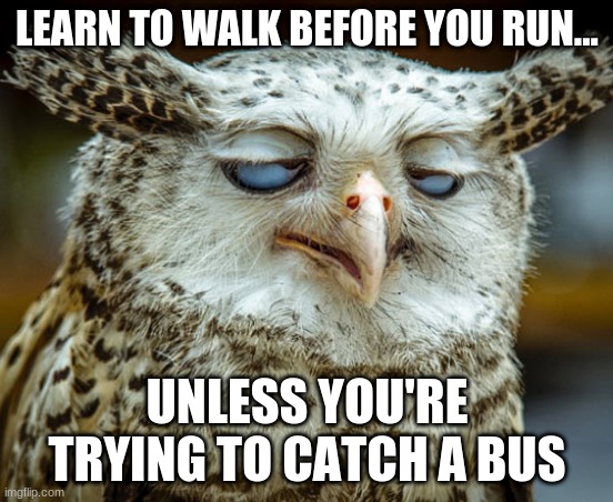 Twisted Proverbs No. 9 |  LEARN TO WALK BEFORE YOU RUN... UNLESS YOU'RE TRYING TO CATCH A BUS | image tagged in twisted proverbs | made w/ Imgflip meme maker