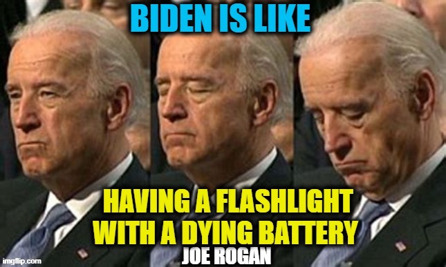 Physically & Mentally Unable to Perform The Job of POTUS | image tagged in politics,political meme,joe biden,democratic socialism,dementia,liberalism,ConservativeMemes | made w/ Imgflip meme maker