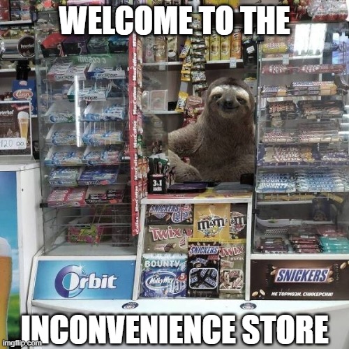 Long lines and a long wait | WELCOME TO THE; INCONVENIENCE STORE | image tagged in funny,sloth,shopping,convenience,slowpoke,hurry up | made w/ Imgflip meme maker