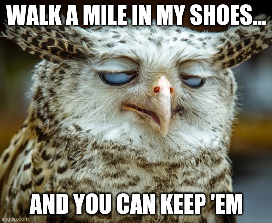 Twisted Proverbs No. 10 |  WALK A MILE IN MY SHOES... AND YOU CAN KEEP 'EM | image tagged in twisted proverbs | made w/ Imgflip meme maker