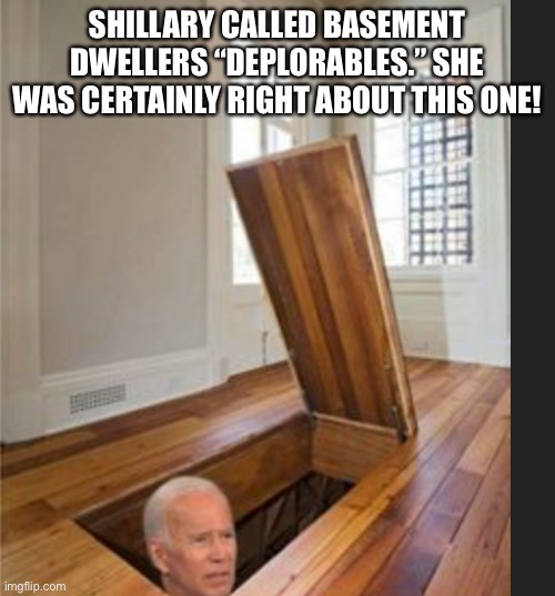 Basement Joe | SHILLARY CALLED BASEMENT DWELLERS “DEPLORABLES.” SHE WAS CERTAINLY RIGHT ABOUT THIS ONE! | image tagged in basement joe | made w/ Imgflip meme maker