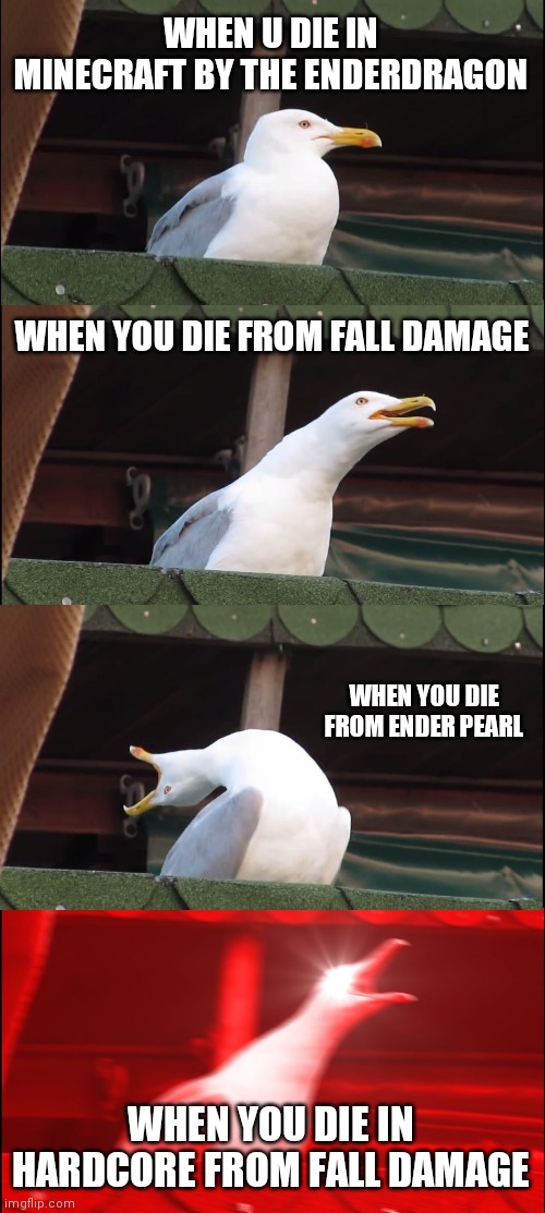 Minecraft rage scale | WHEN U DIE IN MINECRAFT BY THE ENDERDRAGON; WHEN YOU DIE FROM FALL DAMAGE; WHEN YOU DIE FROM ENDER PEARL; WHEN YOU DIE IN HARDCORE FROM FALL DAMAGE | image tagged in inhaling seagull,memes,fun | made w/ Imgflip meme maker