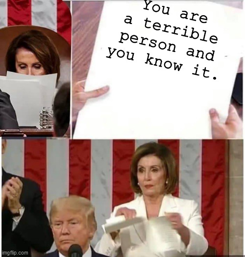 Nancy Pelosi rips paper | You are a terrible person and you know it. | image tagged in nancy pelosi rips paper | made w/ Imgflip meme maker