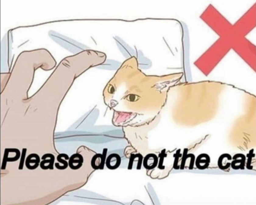 High Quality Please do not the cat Blank Meme Template
