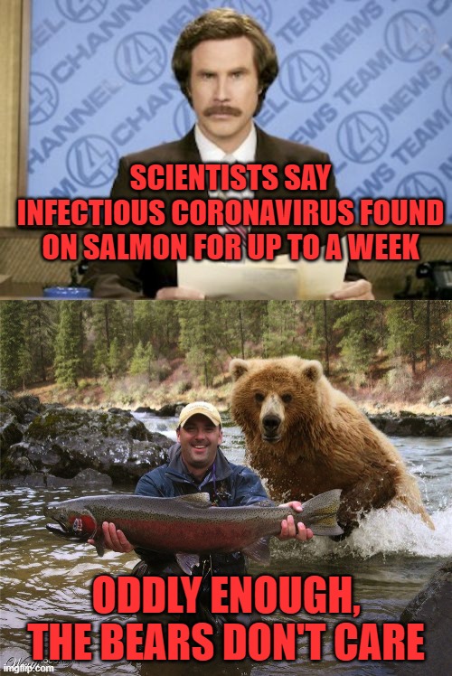 Bears don't wear masks | SCIENTISTS SAY INFECTIOUS CORONAVIRUS FOUND ON SALMON FOR UP TO A WEEK; ODDLY ENOUGH, THE BEARS DON'T CARE | image tagged in memes,ron burgundy,salmonfishermanbear,coronavirus,masks | made w/ Imgflip meme maker