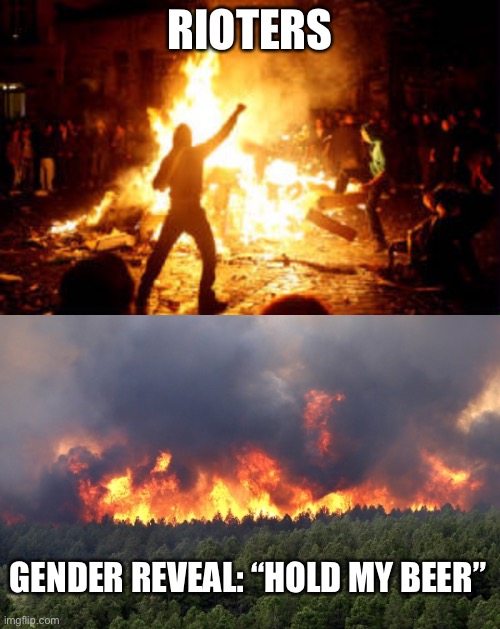 RIOTERS; GENDER REVEAL: “HOLD MY BEER” | image tagged in forest fire,anarchy riot | made w/ Imgflip meme maker