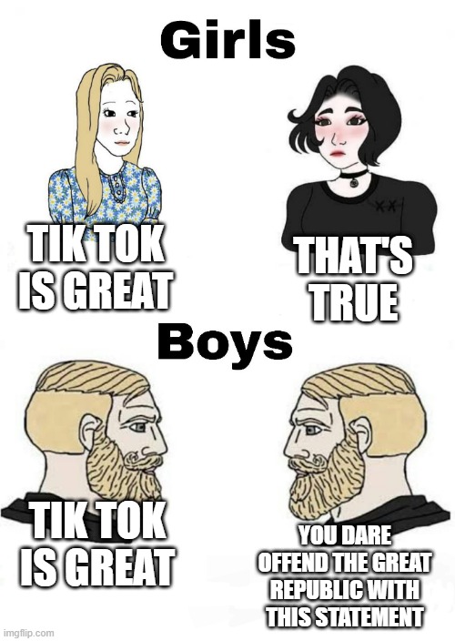 Girls vs Boys | THAT'S TRUE; TIK TOK IS GREAT; TIK TOK IS GREAT; YOU DARE OFFEND THE GREAT REPUBLIC WITH THIS STATEMENT | image tagged in girls vs boys | made w/ Imgflip meme maker