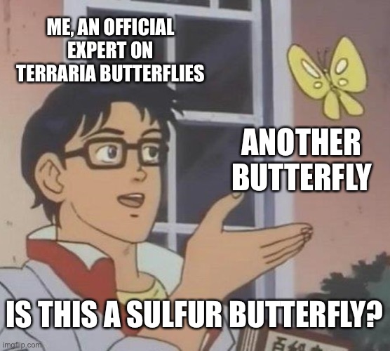 Is This A Pigeon Meme | ME, AN OFFICIAL EXPERT ON TERRARIA BUTTERFLIES; ANOTHER BUTTERFLY; IS THIS A SULFUR BUTTERFLY? | image tagged in memes,is this a pigeon | made w/ Imgflip meme maker