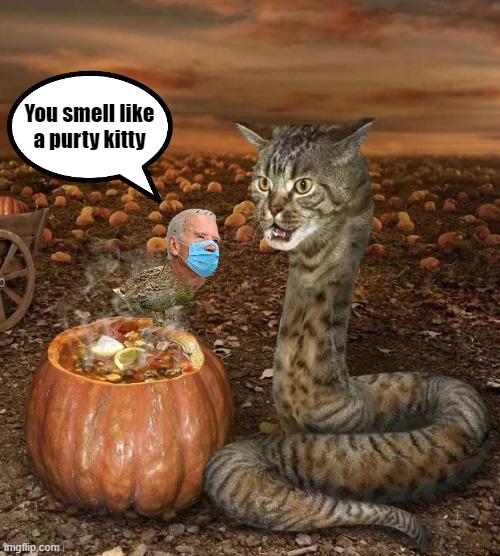 Bidenduck meets Snackecat | You smell like a purty kitty | image tagged in cat snake,bidenduck,the duck stops here | made w/ Imgflip meme maker