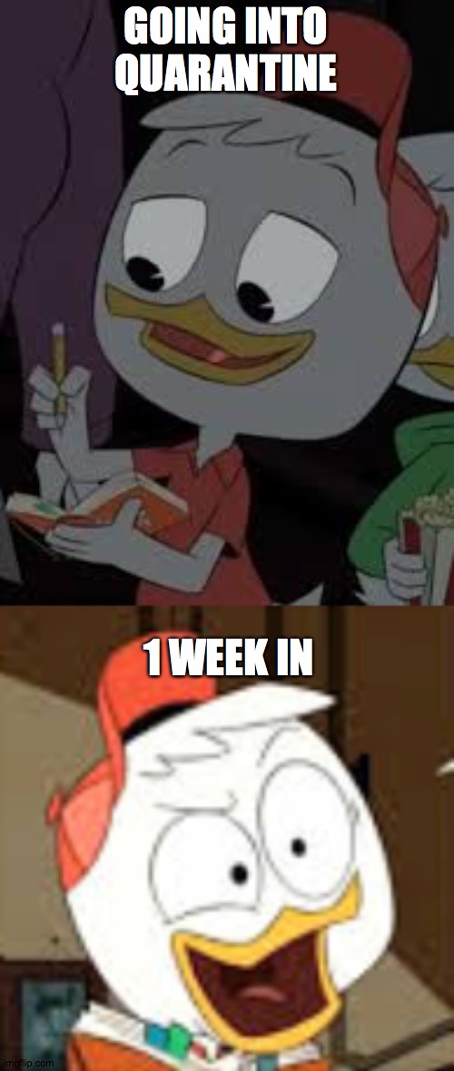 Breakdown Huey | GOING INTO QUARANTINE; 1 WEEK IN | image tagged in ducktales,quarantine,crazy | made w/ Imgflip meme maker