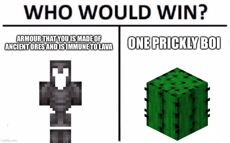 Who Would Win? Meme | ARMOUR THAT YOU IS MADE OF ANCIENT ORES AND IS IMMUNE TO LAVA; ONE PRICKLY BOI | image tagged in memes,who would win | made w/ Imgflip meme maker