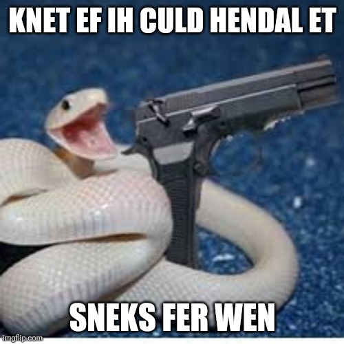 snake got gun | KNET EF IH CULD HENDAL ET SNEKS FER WEN | image tagged in snake got gun | made w/ Imgflip meme maker
